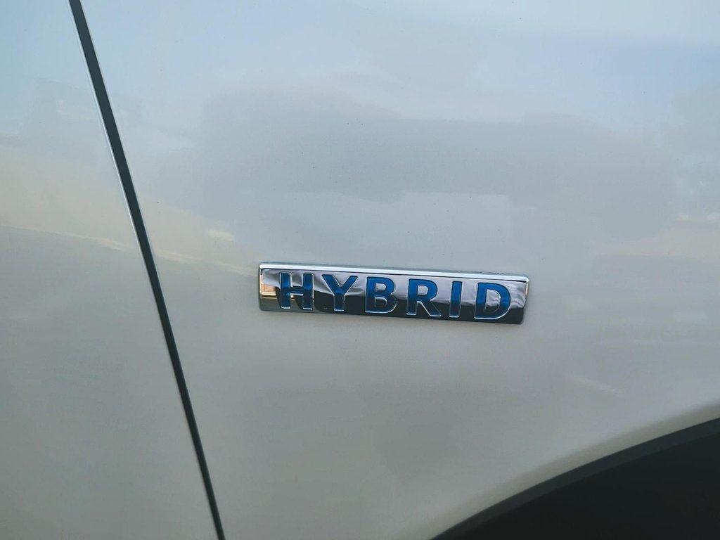2025 Mazda CX-50 Hybrid GT | Leather | Roof | Nav | Cam | USB | HtdWheel in Saint John, New Brunswick - 61 - w1024h768px