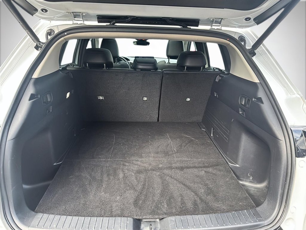 2023 Mazda CX-50 GS-L | Sunroof | Cam | USB | HtdWheel | Bluetooth in Saint John, New Brunswick - 40 - w1024h768px