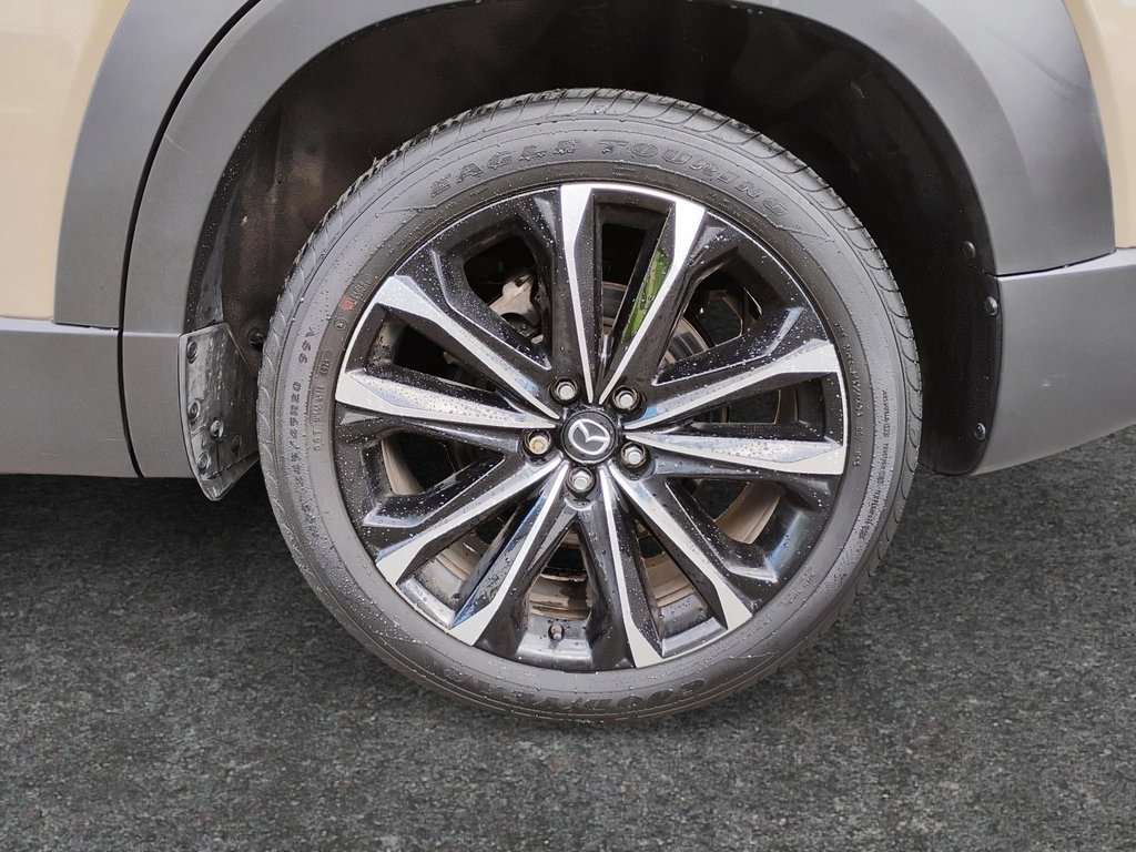 2024 Mazda CX-50 in Antigonish, Nova Scotia - 10 - w1024h768px