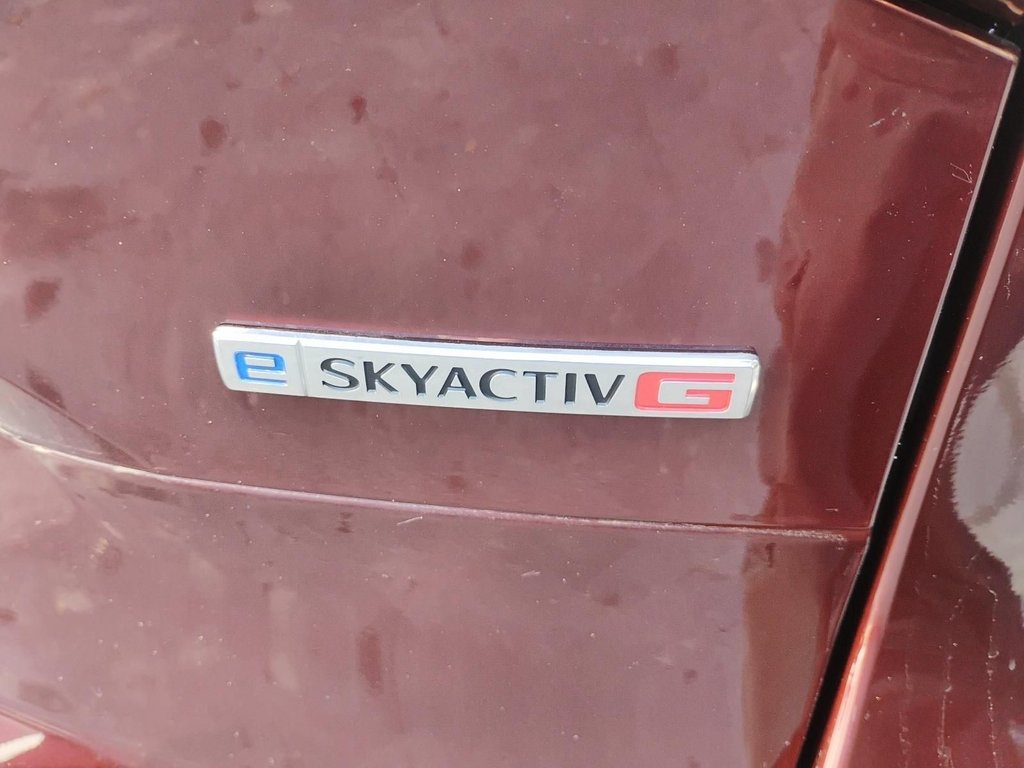 2024 Mazda CX-90 MHEV Signature | Leather | Roof | Nav | Cam | USB in Saint John, New Brunswick - 55 - w1024h768px