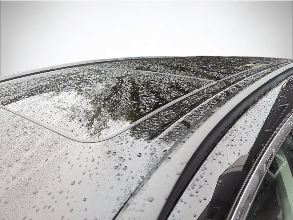2024 Nissan Murano in Antigonish, Nova Scotia - 45 - w1024h768px