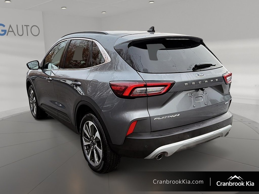 2024 Ford ESCAPE PLATINUM-3