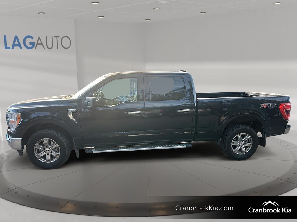 2023 Ford F-150 XLT-4