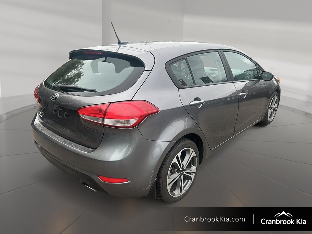 2016 Kia FORTE 5-DOOR EX-3