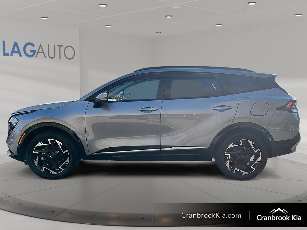 2025 Kia SPORTAGE PLUG-IN HYBRID EX PREMIUM-4