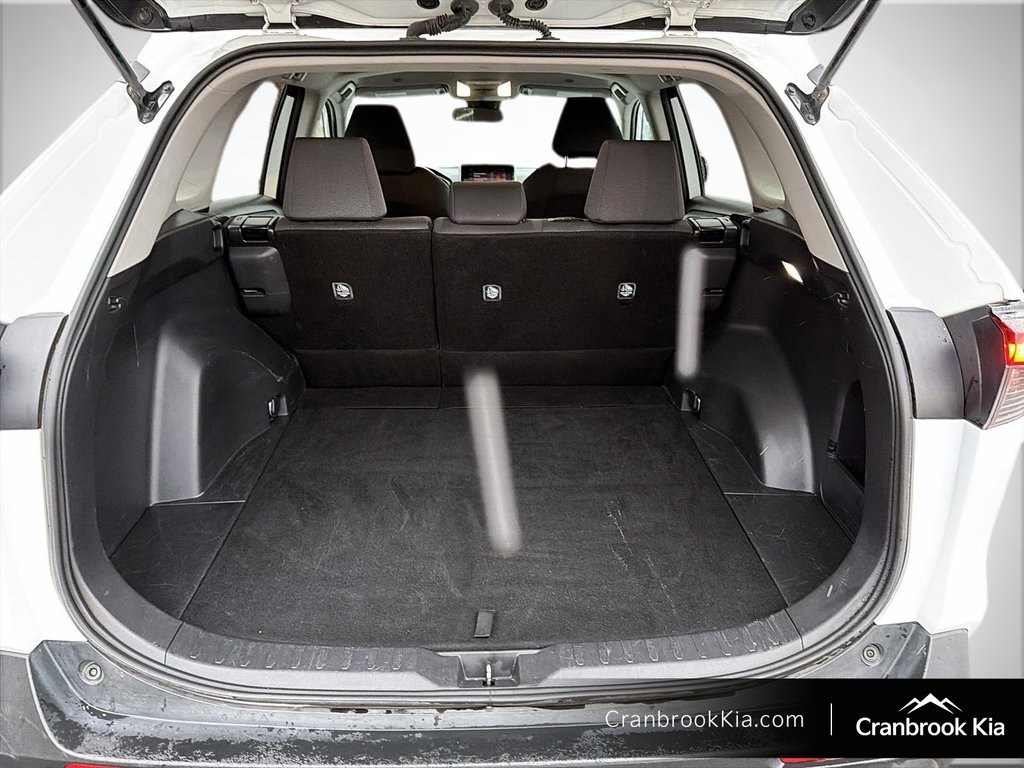 2024 Toyota RAV4 LE-5