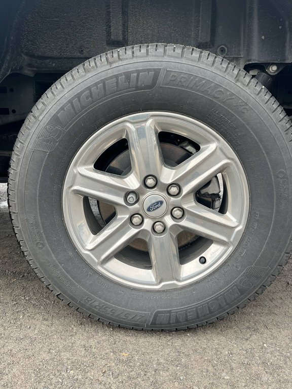 Ford F-150 XLT, AUCUN ACCIDENT, SUPERCREW, 3.5L, HITCH 2024 à Mirabel, Québec - 5 - w1024h768px