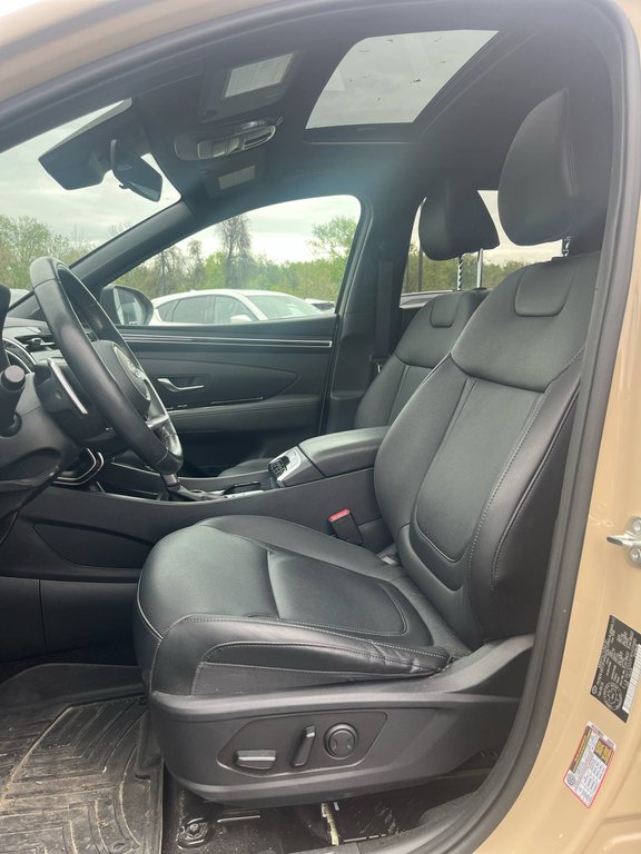2024 Hyundai Santa Cruz Trend, AUCUN ACCIDENT, CUIR, TOIT, AWD, HITCH, GPS in Mirabel, Quebec - 9 - w1024h768px