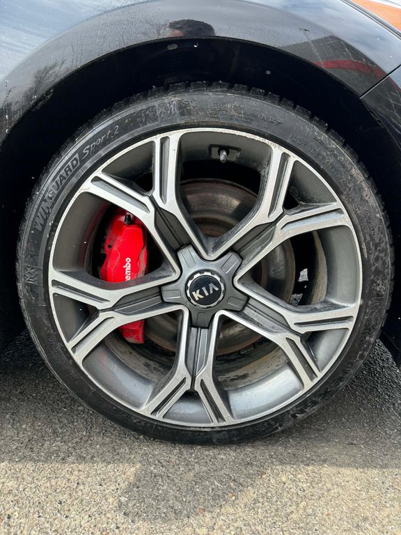 2021 Kia Stinger GT Limited, JAMAIS ACCIDENTÉ, V6, HARMAN KARDON in Mirabel, Quebec - 5 - w1024h768px