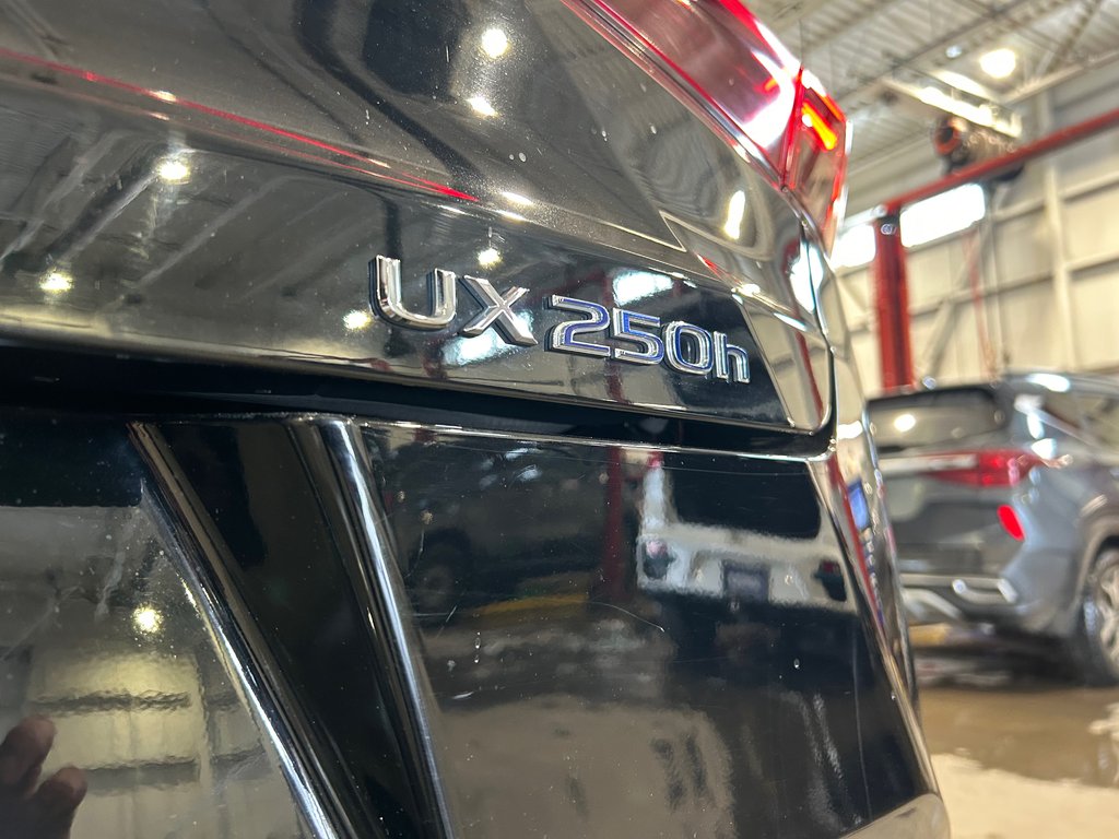 Lexus UX 250h, JAMAIS ACCIDENTÉ, FSPORT, CUIR, AWD 2021 à Mirabel, Québec - 17 - w1024h768px