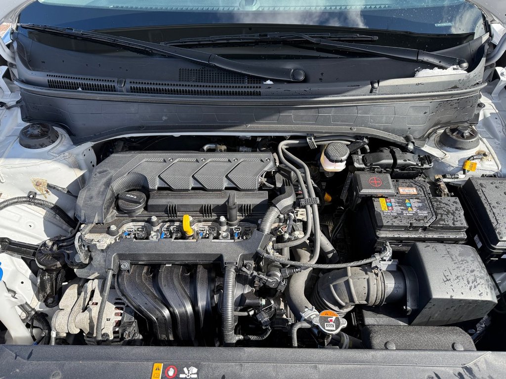 Hyundai Venue Preferred 2024 à Amherst, Nouvelle-Écosse - 55 - w1024h768px