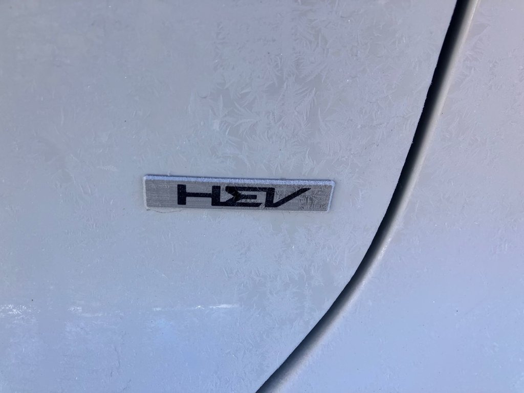 Kia Niro SX | Leather | Roof | Nav | Warranty to 2033 2025 à Bridgewater, Nouveau-Brunswick - 5 - w1024h768px