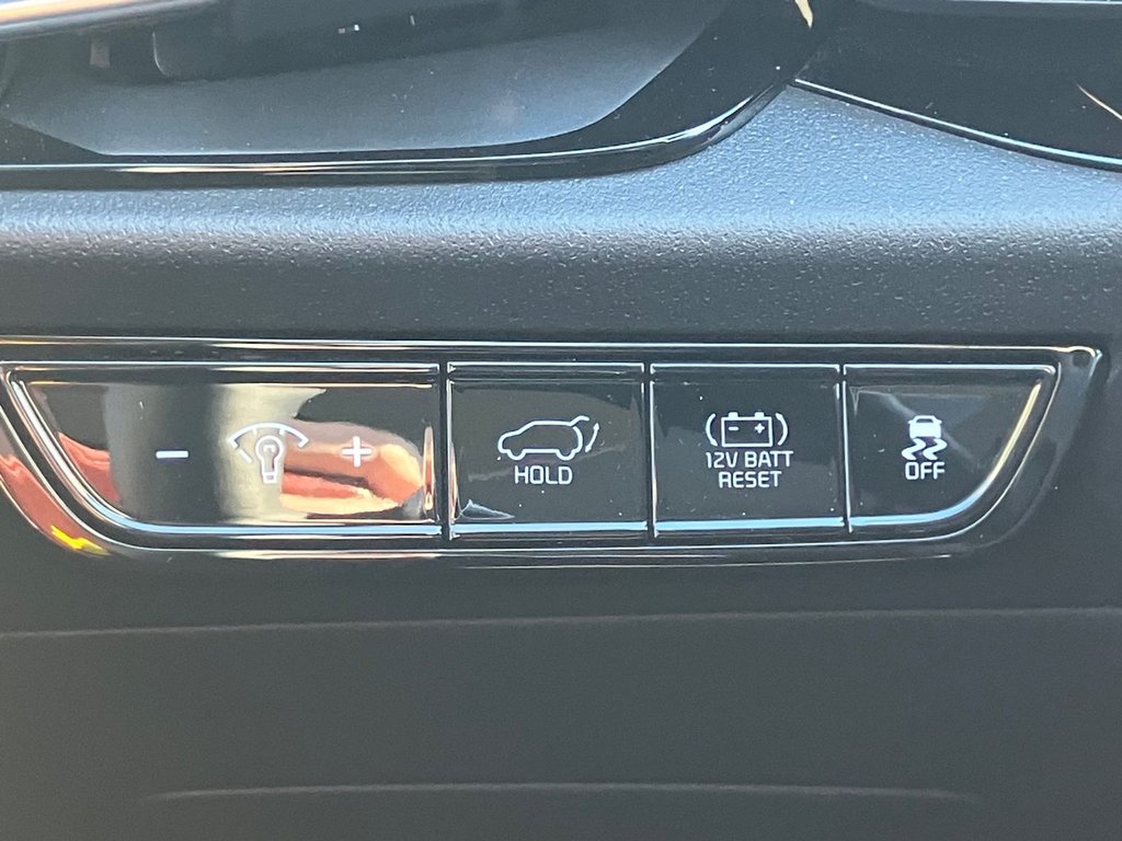 Kia Niro SX | Leather | Roof | Nav | Warranty to 2033 2025 à Bridgewater, Nouveau-Brunswick - 22 - w1024h768px