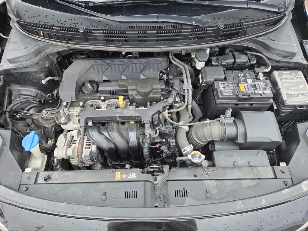 Kia Rio 5-door LX+ | Cam | USB | HtdSeats | Warranty to 2028 2023 à Bridgewater, Nouveau-Brunswick - 24 - w1024h768px