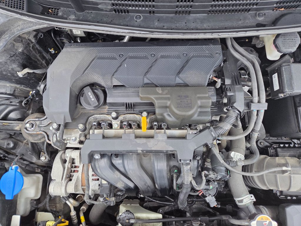 Kia Rio 5-door LX+ | Cam | USB | HtdSeats | Warranty to 2028 2023 à Bridgewater, Nouveau-Brunswick - 25 - w1024h768px