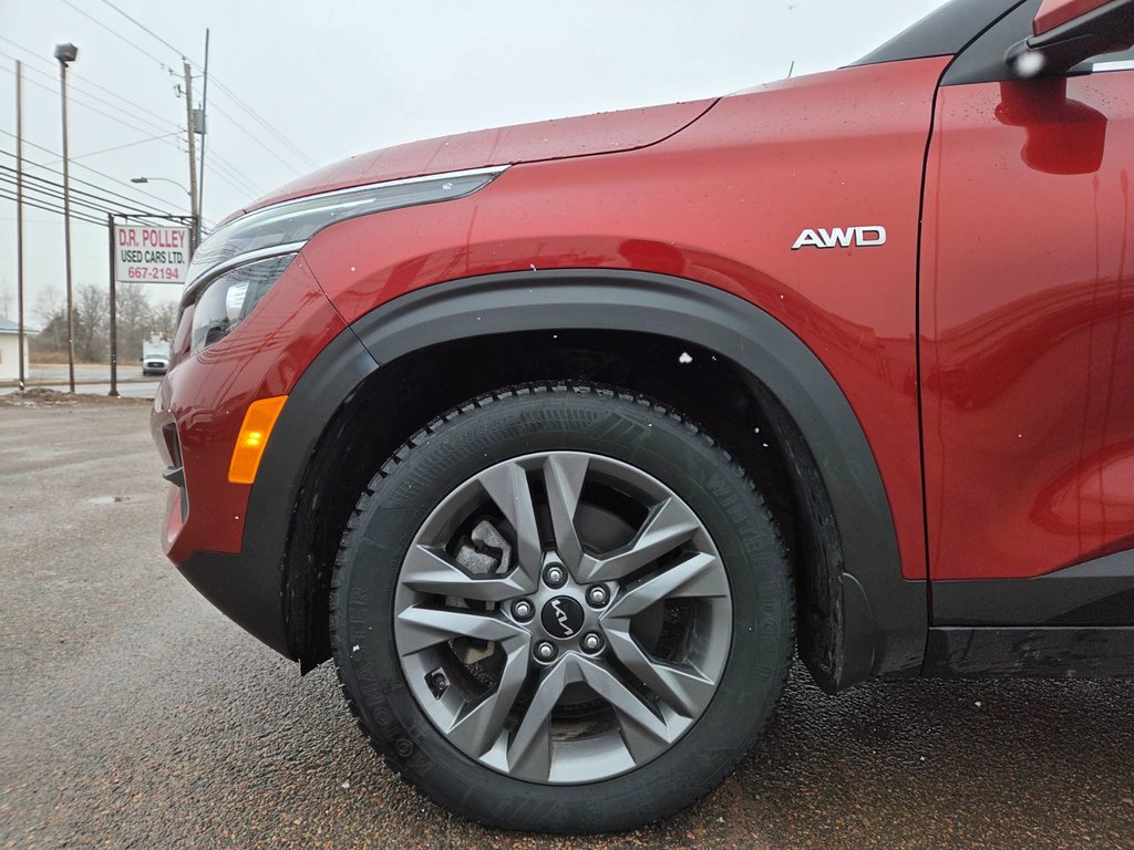 2023 Kia Seltos EX | Leather | SunRoof | Cam | Warranty to 2028 in Bridgewater, New Brunswick - 25 - w1024h768px