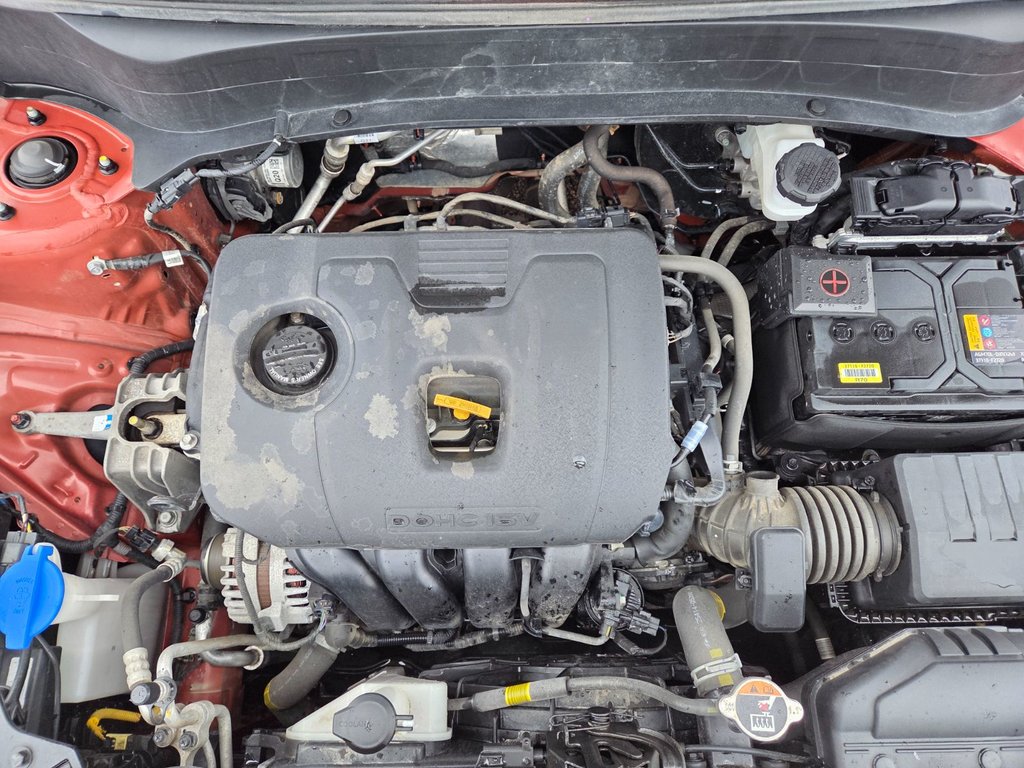 2023 Kia Seltos EX | Leather | SunRoof | Cam | Warranty to 2028 in Bridgewater, New Brunswick - 29 - w1024h768px