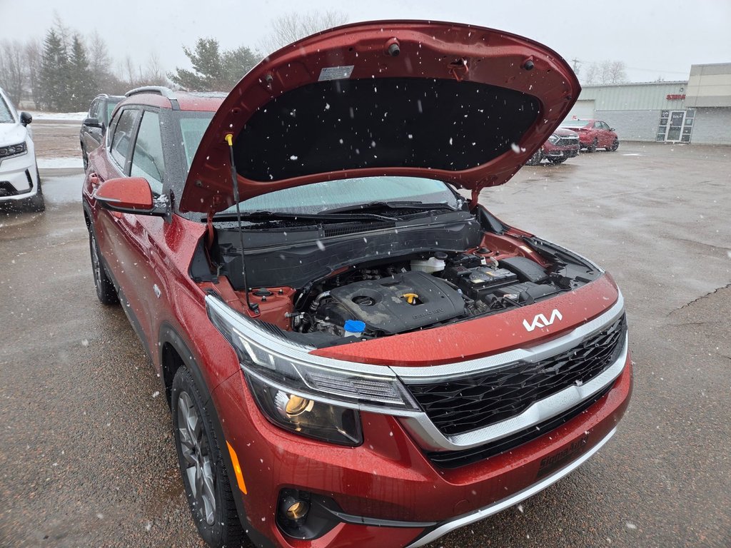 2023 Kia Seltos EX | Leather | SunRoof | Cam | Warranty to 2028 in Bridgewater, New Brunswick - 28 - w1024h768px