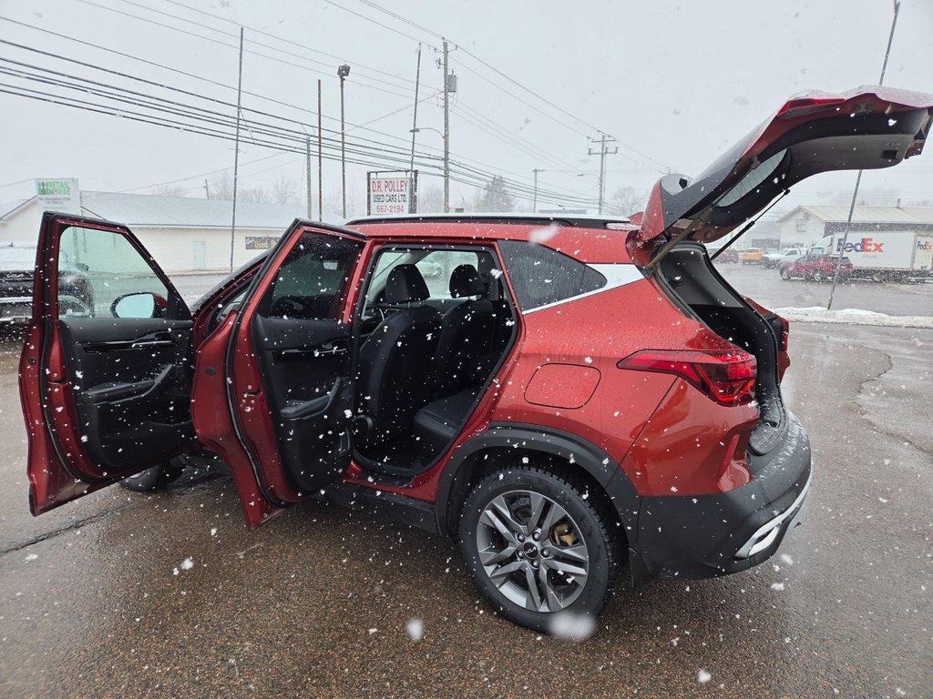 2023 Kia Seltos EX | Leather | SunRoof | Cam | Warranty to 2028 in Bridgewater, New Brunswick - 26 - w1024h768px