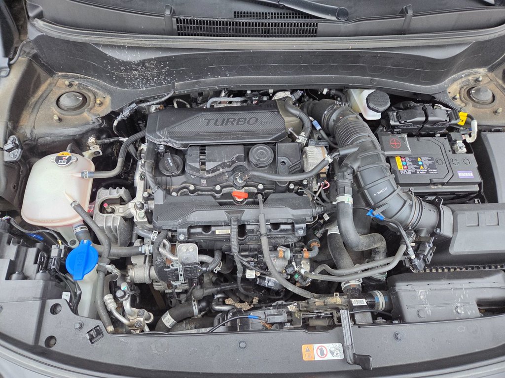 2024 Kia Seltos SX | Leather | Nav | Roof | Cam | Warranty to 2029 in Bridgewater, New Brunswick - 96 - w1024h768px