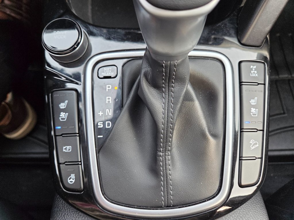 2024 Kia Seltos SX | Leather | Nav | Roof | Cam | Warranty to 2029 in Bridgewater, New Brunswick - 29 - w1024h768px