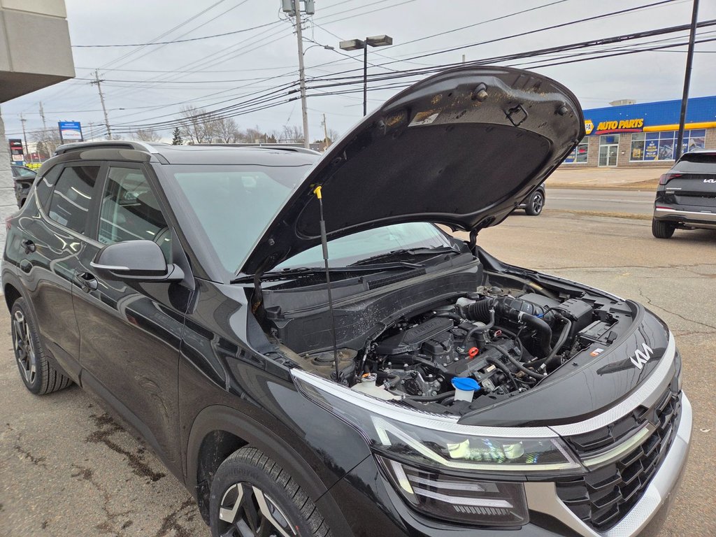 2024 Kia Seltos SX | Leather | Nav | Roof | Cam | Warranty to 2029 in Bridgewater, New Brunswick - 95 - w1024h768px