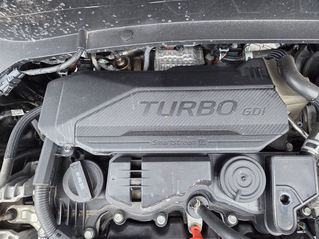 2024 Kia Seltos SX | Leather | Nav | Roof | Cam | Warranty to 2029 in Bridgewater, New Brunswick - 97 - w1024h768px