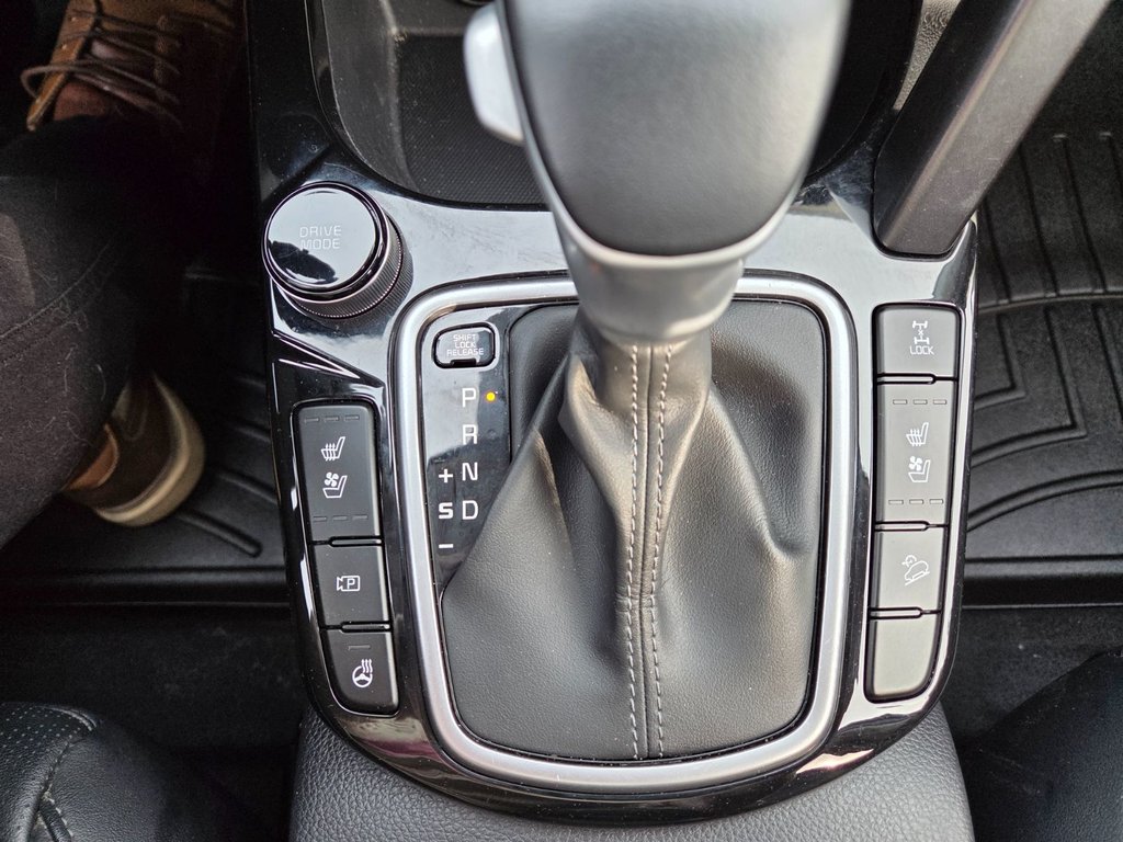 2024 Kia Seltos SX | Leather | Nav | Roof | Cam | Warranty to 2029 in Bridgewater, New Brunswick - 23 - w1024h768px