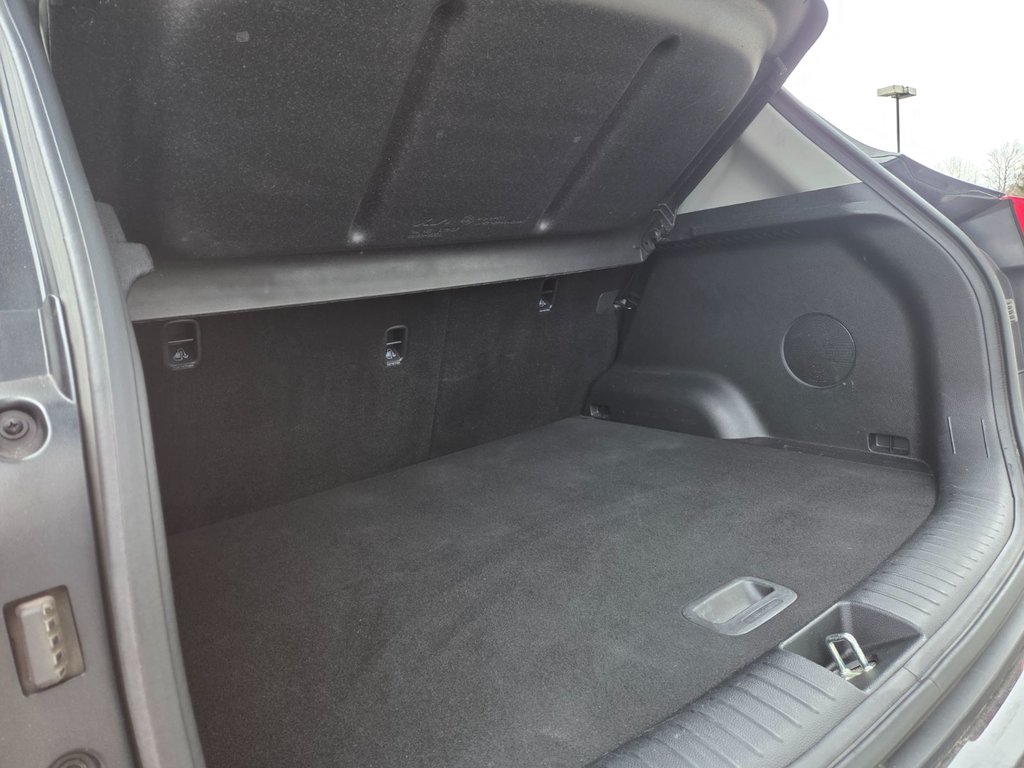 2024 Kia Seltos SX | Leather | Nav | Roof | Cam | Warranty to 2029 in Bridgewater, New Brunswick - 103 - w1024h768px