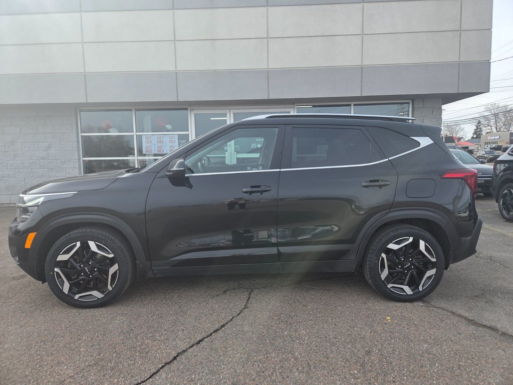 2024 Kia Seltos SX | Leather | Nav | Roof | Cam | Warranty to 2029 in Bridgewater, New Brunswick - 4 - w1024h768px