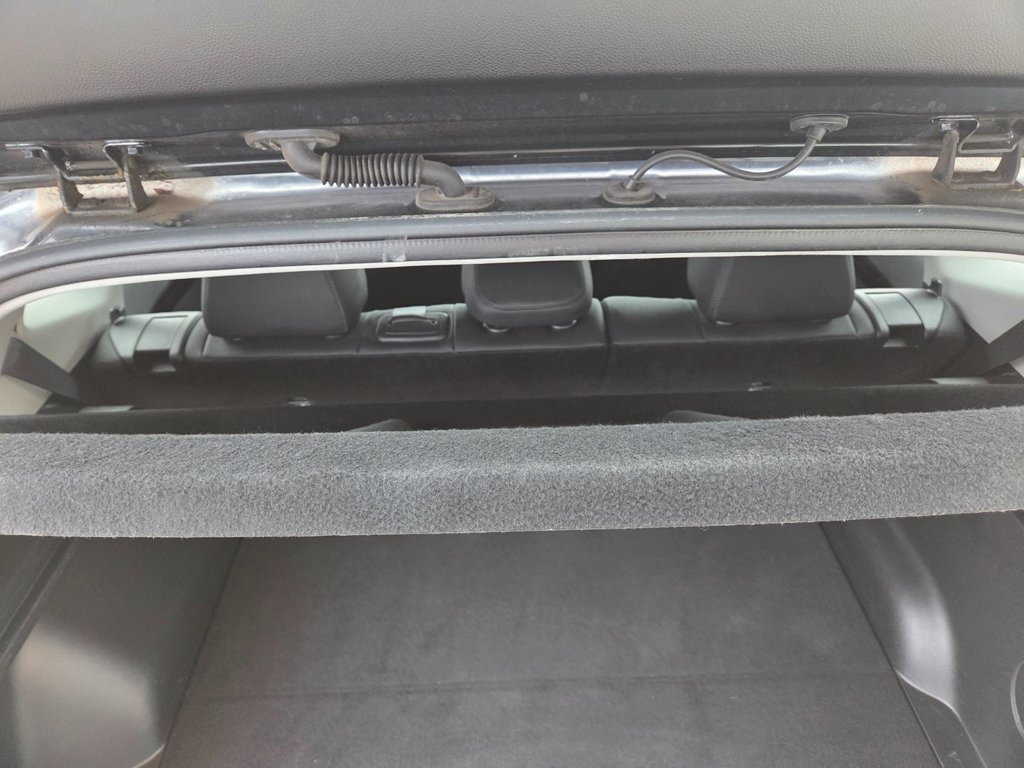 2024 Kia Seltos SX | Leather | Nav | Roof | Cam | Warranty to 2029 in Bridgewater, New Brunswick - 104 - w1024h768px