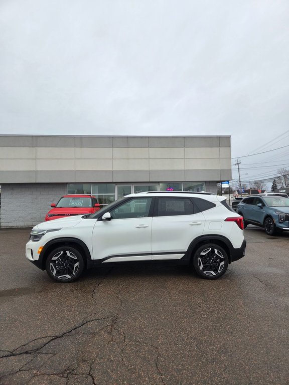 2026 Kia Seltos SX | Leather | Nav | SunRoof | Warranty to 2031 in Bridgewater, New Brunswick - 10 - w1024h768px