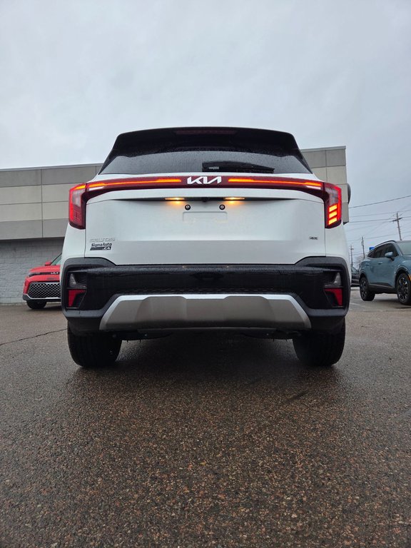 2026 Kia Seltos SX | Leather | Nav | SunRoof | Warranty to 2031 in Bridgewater, New Brunswick - 16 - w1024h768px
