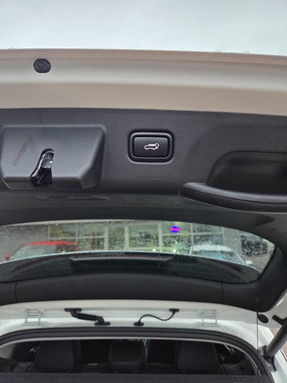 2026 Kia Seltos SX | Leather | Nav | SunRoof | Warranty to 2031 in Bridgewater, New Brunswick - 49 - w1024h768px