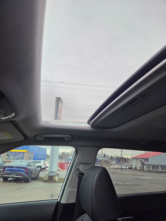 2026 Kia Seltos SX | Leather | Nav | SunRoof | Warranty to 2031 in Bridgewater, New Brunswick - 56 - w1024h768px