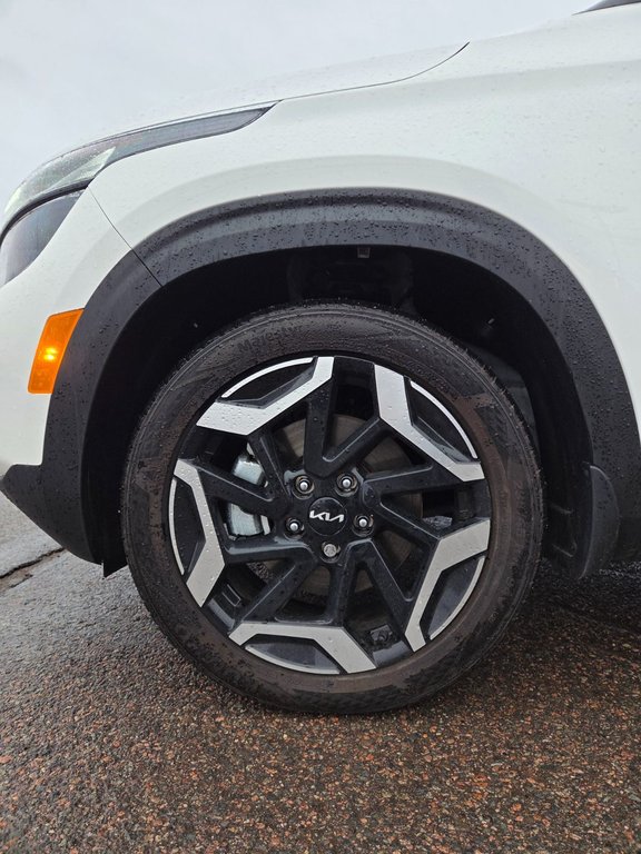 2026 Kia Seltos SX | Leather | Nav | SunRoof | Warranty to 2031 in Bridgewater, New Brunswick - 7 - w1024h768px