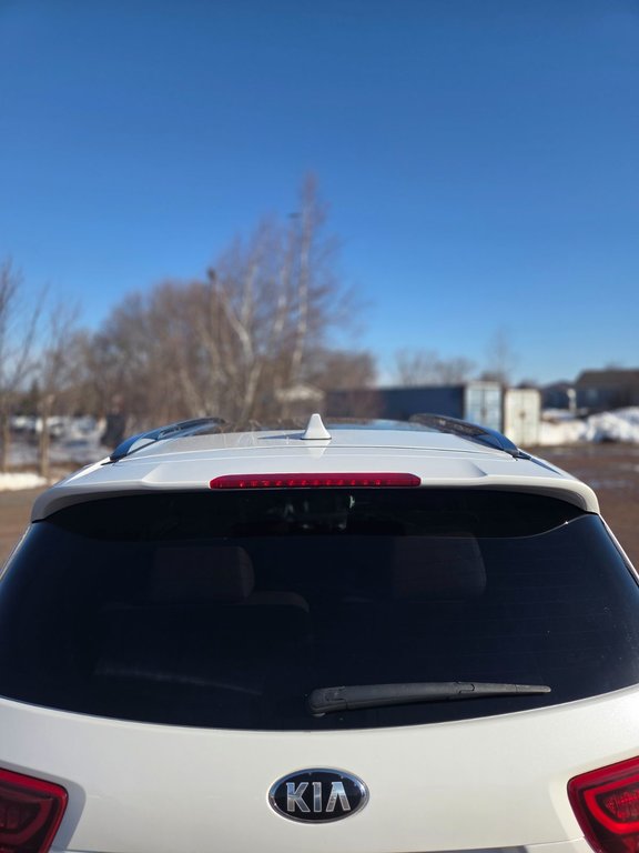 2019 Kia Sorento SXL | Leather | Roof | 7-Pass | Nav | Cam | USB in Amherst, Nova Scotia - 52 - w1024h768px