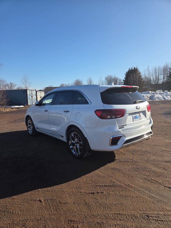2019 Kia Sorento SXL | Leather | Roof | 7-Pass | Nav | Cam | USB in Amherst, Nova Scotia - 5 - w1024h768px