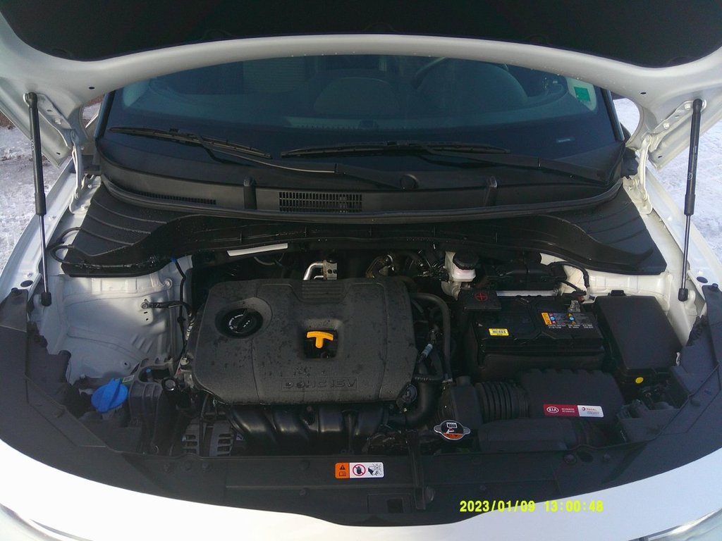 2022 Kia Soul EX+ in Amherst, Nova Scotia - 40 - w1024h768px