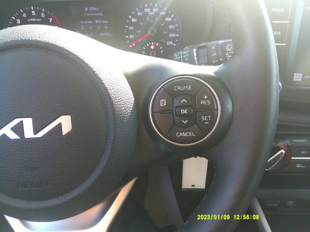 2022 Kia Soul EX+ in Amherst, Nova Scotia - 19 - w1024h768px