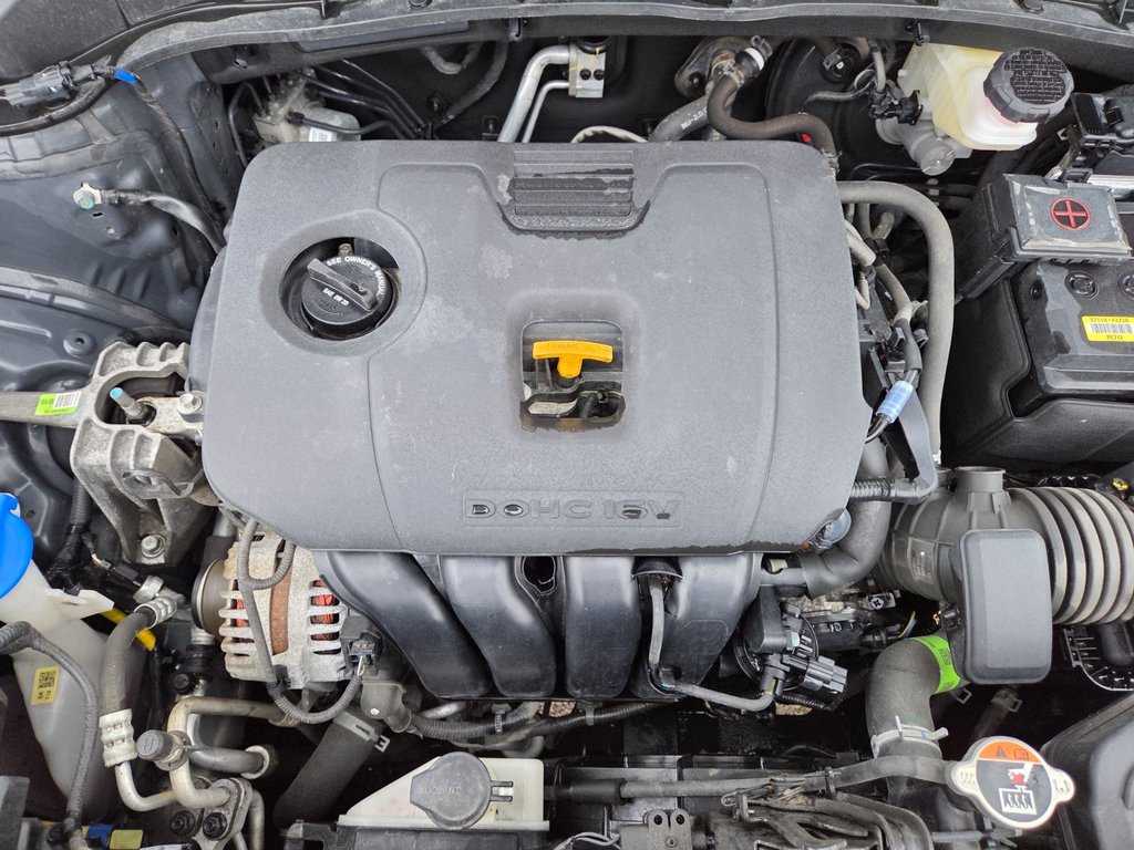 2023 Kia Soul EX | Cam | USB | HtdWheel | Warranty to 2028 in Bridgewater, New Brunswick - 88 - w1024h768px