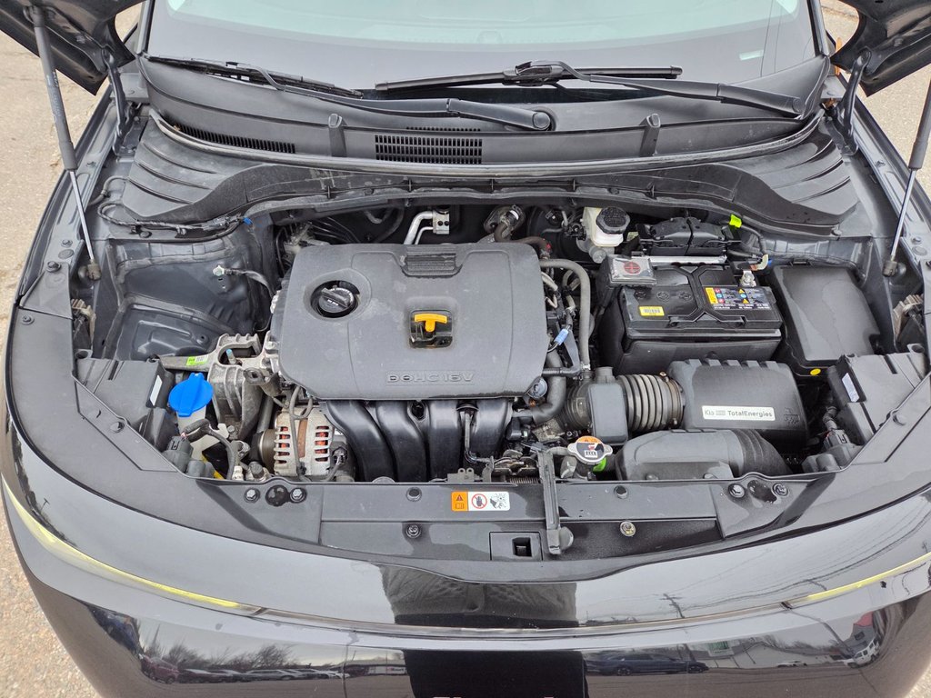 2023 Kia Soul EX | Cam | USB | HtdWheel | Warranty to 2028 in Bridgewater, New Brunswick - 87 - w1024h768px