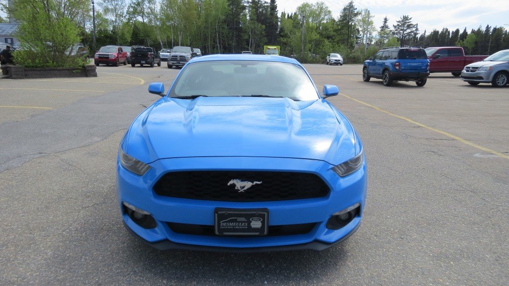 Ford MUSTANG 2.3L EcoBoost 2017 à Les Escoumins, Québec - 3 - w1024h768px