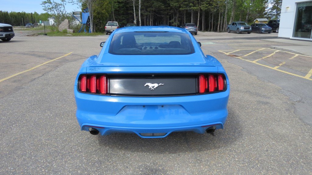 Ford MUSTANG 2.3L EcoBoost 2017 à Les Escoumins, Québec - 5 - w1024h768px