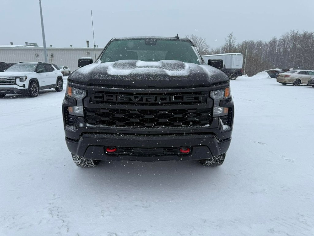 2025 Chevrolet Silverado 1500 Custom Trail Boss in Amqui, Quebec - 4 - w1024h768px