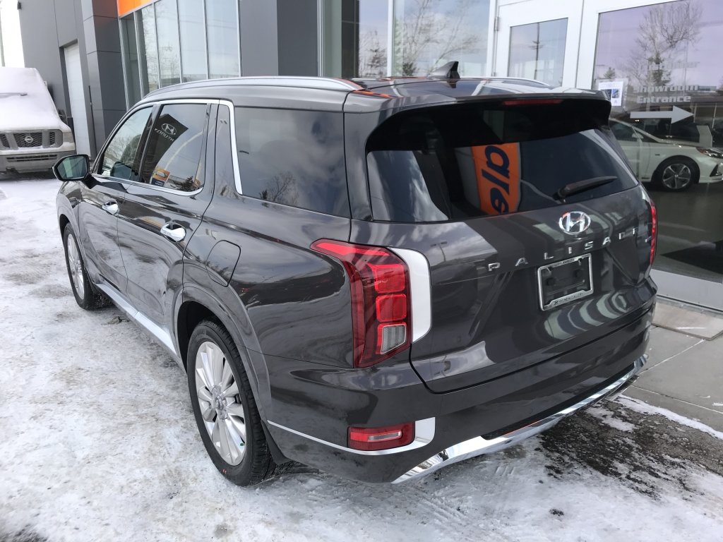 Bluelink hyundai palisade