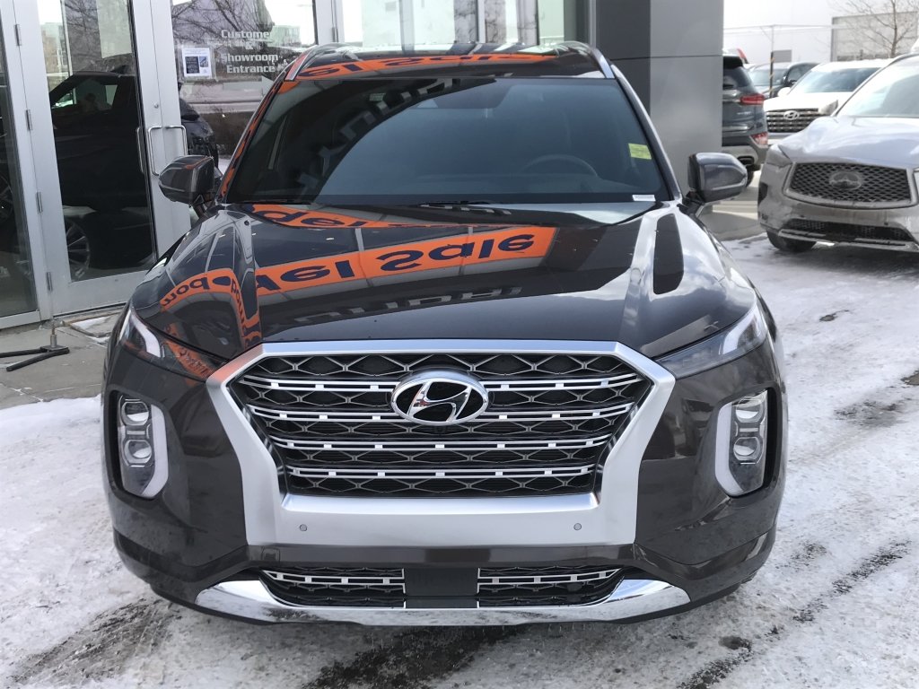 Bluelink hyundai palisade