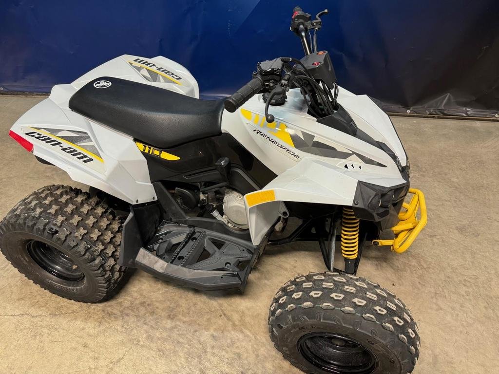 2023  Renegade 110 EFI in Charlemagne, Quebec - 2 - w1024h768px