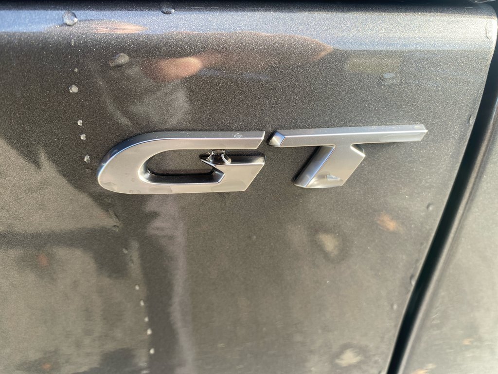 2024  HORNET GT in Sussex, New Brunswick - 6 - w1024h768px