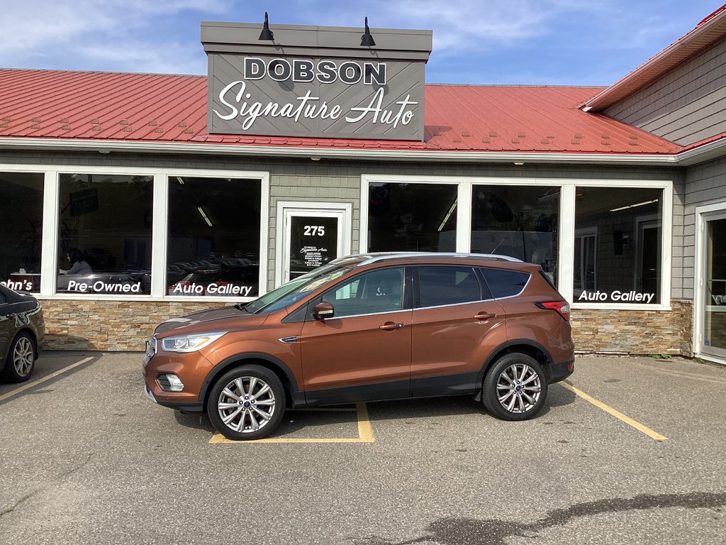 2017 Ford Escape TITANIUM in Saint John, New Brunswick - 4 - w1024h768px